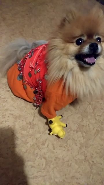 Цыганочка с выходом!💃😂 Или танец живота!