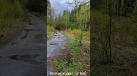 Всё исходит от вас Роберт Адамс