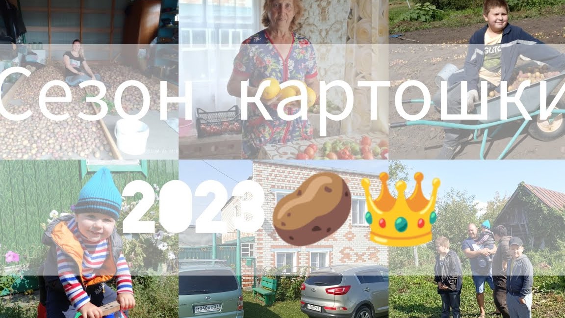 картошка/деревня