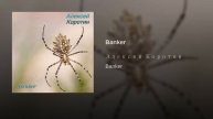 Алексей Коротин - Banker