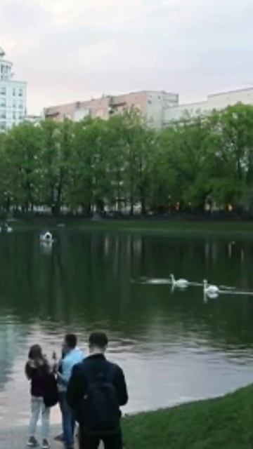 Отдыхающие в районе Патриарших прудов в Москве #shorts