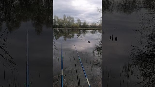 VID-20250508-WA0011.mp4