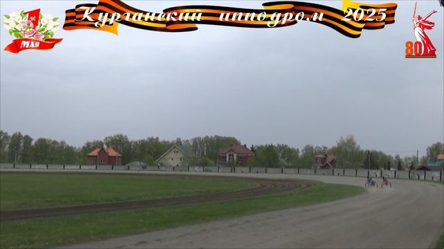 03.05ю2025 - заезд 5: для жеребцов и кобыл орловской породы 4-х лет