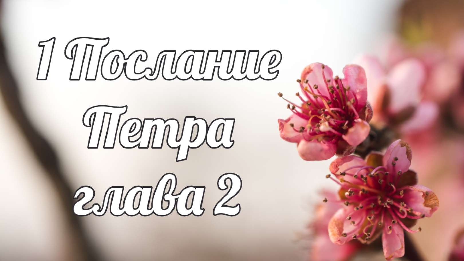 1 Послание апостола Петра глава 2