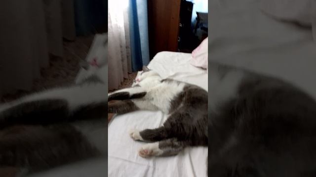 VID_20250322_082430