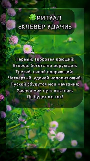 Ритуал на Удачу! Клевер на вашу удачу! #мистика  #магия