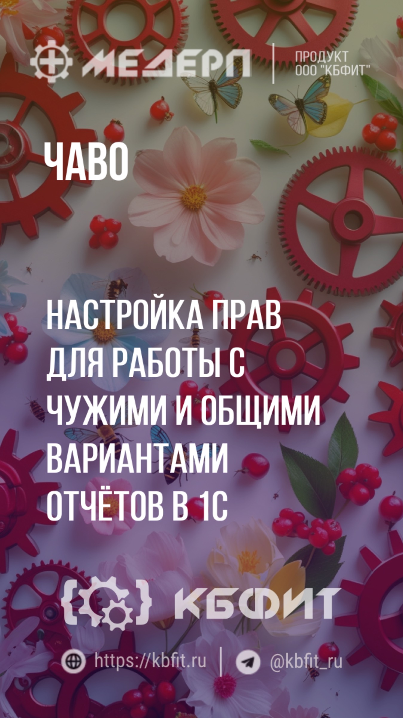 КБФИТ: МЕДЕРП. ЧАВО: Настройка прав для работы с чужими и общими вариантами отчётов в 1С. Ч.1.