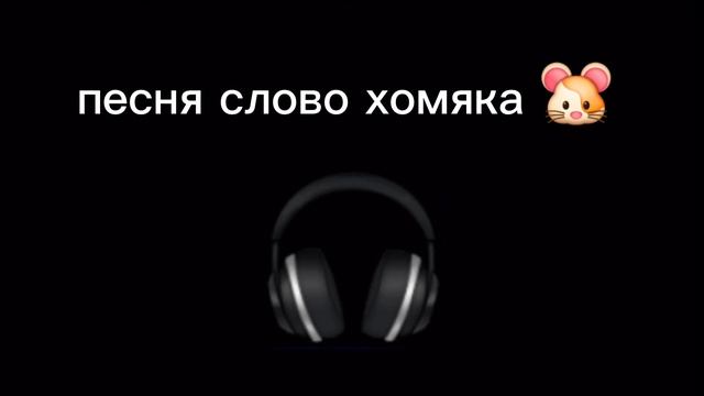 песня слово хомяка!