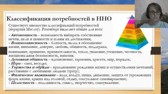 Что такое потребности в ННО (по книге Маршалла Розенбе