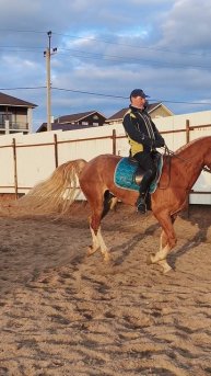 Алексей и Каспер, принимание на галопе налево, на плацу.