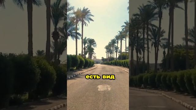 Египет 2025 отдых в бюджетном отеле 5* SHARM PLAZA HOTEL Шарм эль