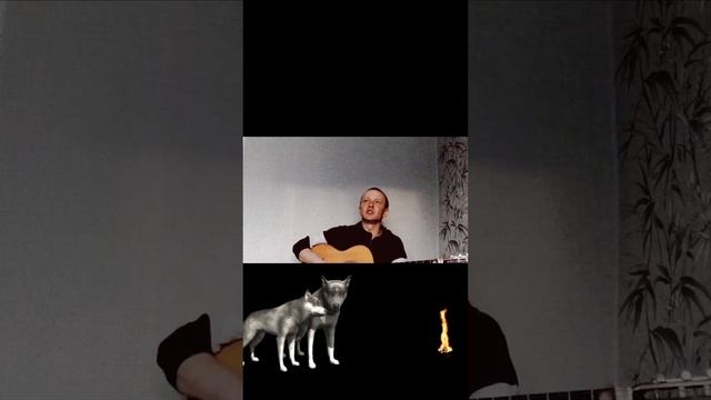Охота на волка