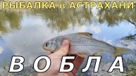 Рыбалка на ВОБЛУ, КАРАСЯ и САЗАНА в Астрахани.