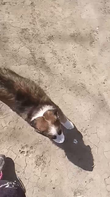 1000080424.mp4