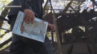 Россия прекратила боевые действия в зоне СВО / События на ТВЦ