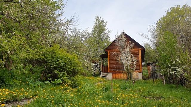 Философия мая