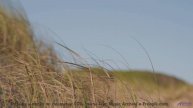 Этот саундтрек - как путешествие в зимнюю сказку! - Waking with You -- Crowander -- Uplifting Funban