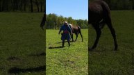 Республика Башкортостан