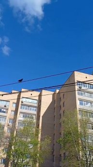 Улица Вавилова