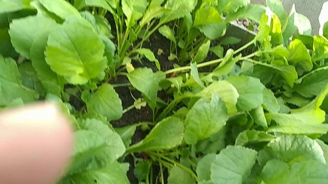 20250508_080103.mp4