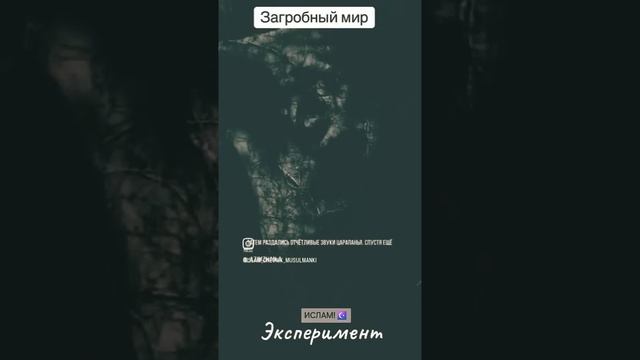 Загробный Мир! Эксперимент 😲
