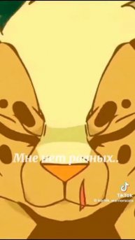 Кошки воительницы