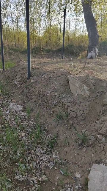Участок продам в Затоне г. Новосибирск.