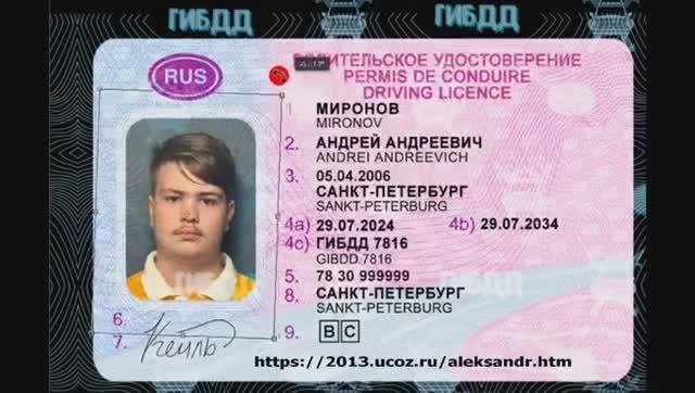 программа для создания водительских прав