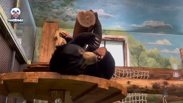 🐻 Медвежонок Машуля всегда проводит дни весело и задорно — малышка заряжена энергией на приключения