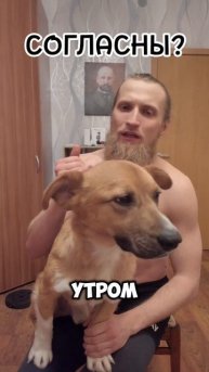 В этом есть правда😉 #shorts #sports #workout #motivation #собака