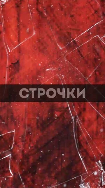 Кошачий чих