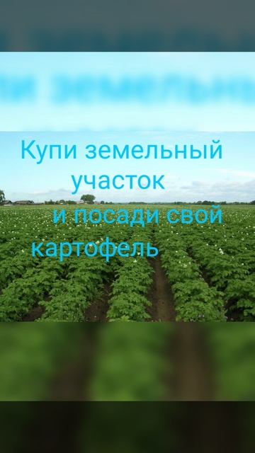 1000053304.mp4