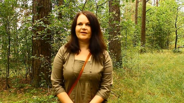 Целительство. Отзывы о наших практиках на фестивале "Лайтовы Фэст"