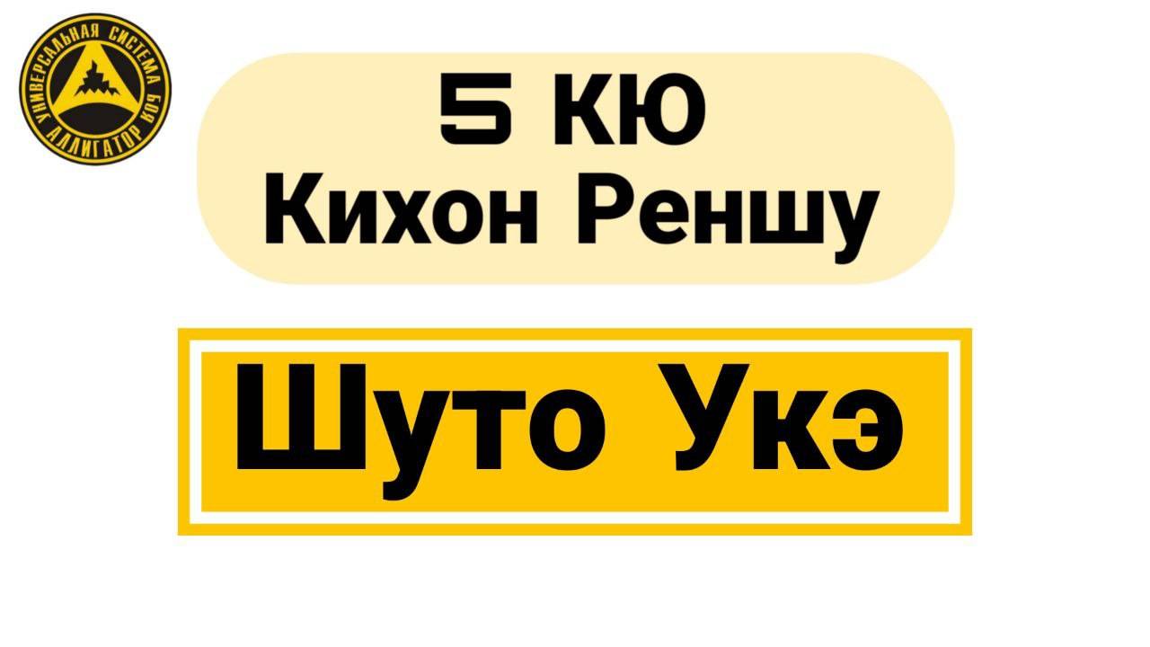 5 Кю Кихон Реншу: Шуто Укэ