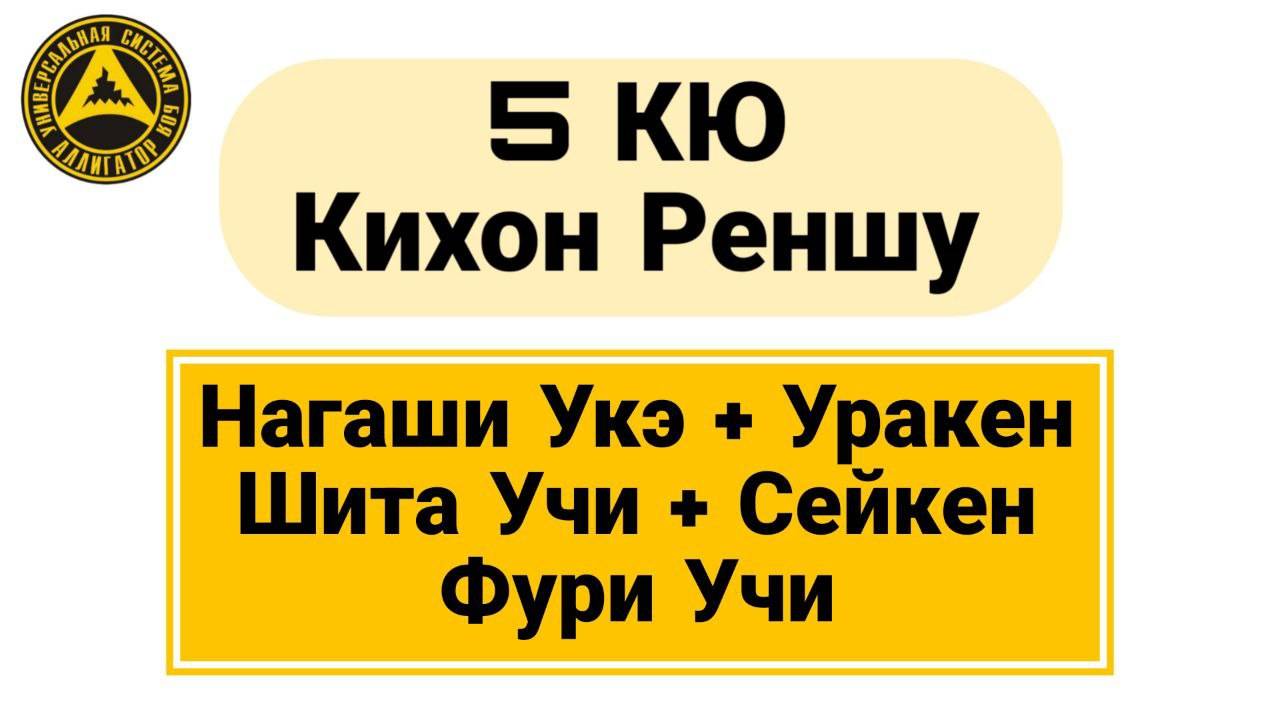 Нагаши Укэ + Уракен Шита Учи + Сейкен Фури Учи