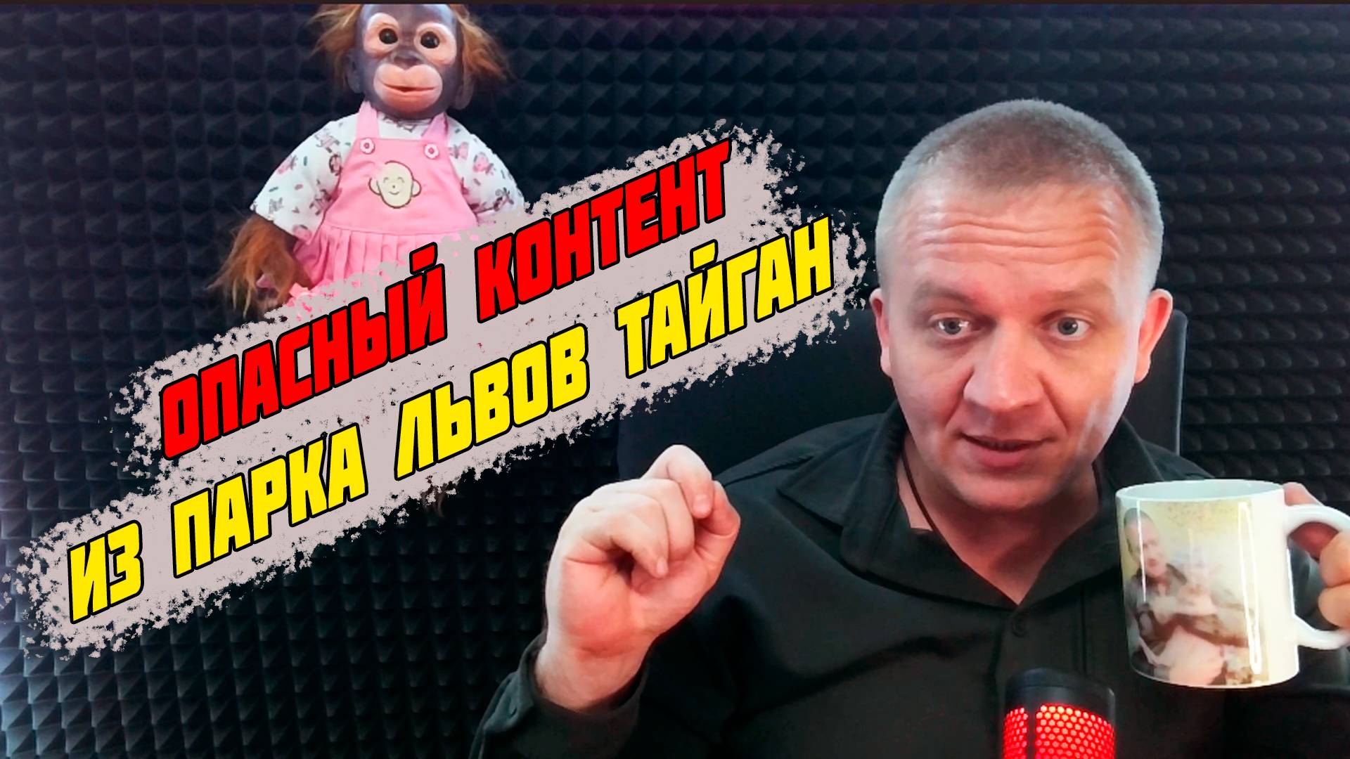 Контент Алексагиной из парка львов Тайган вредоносный и опасный для всего общества!