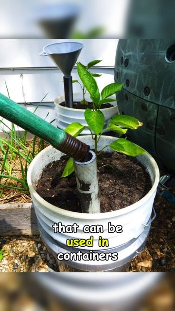 Полив растений через дренажную трубу 💦🌱