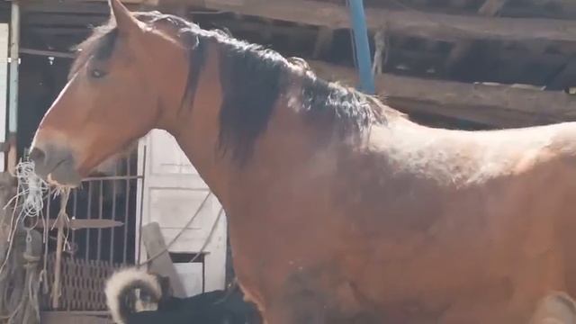 1000026714.mp4