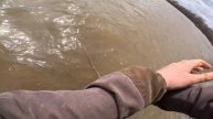 ЕСТЬ УЛОВ! ЗАПРЕЩЕННАЯ РЫБАЛКА 2. ФИТИЛИ НАЧАЛИ ЛОВИТЬ