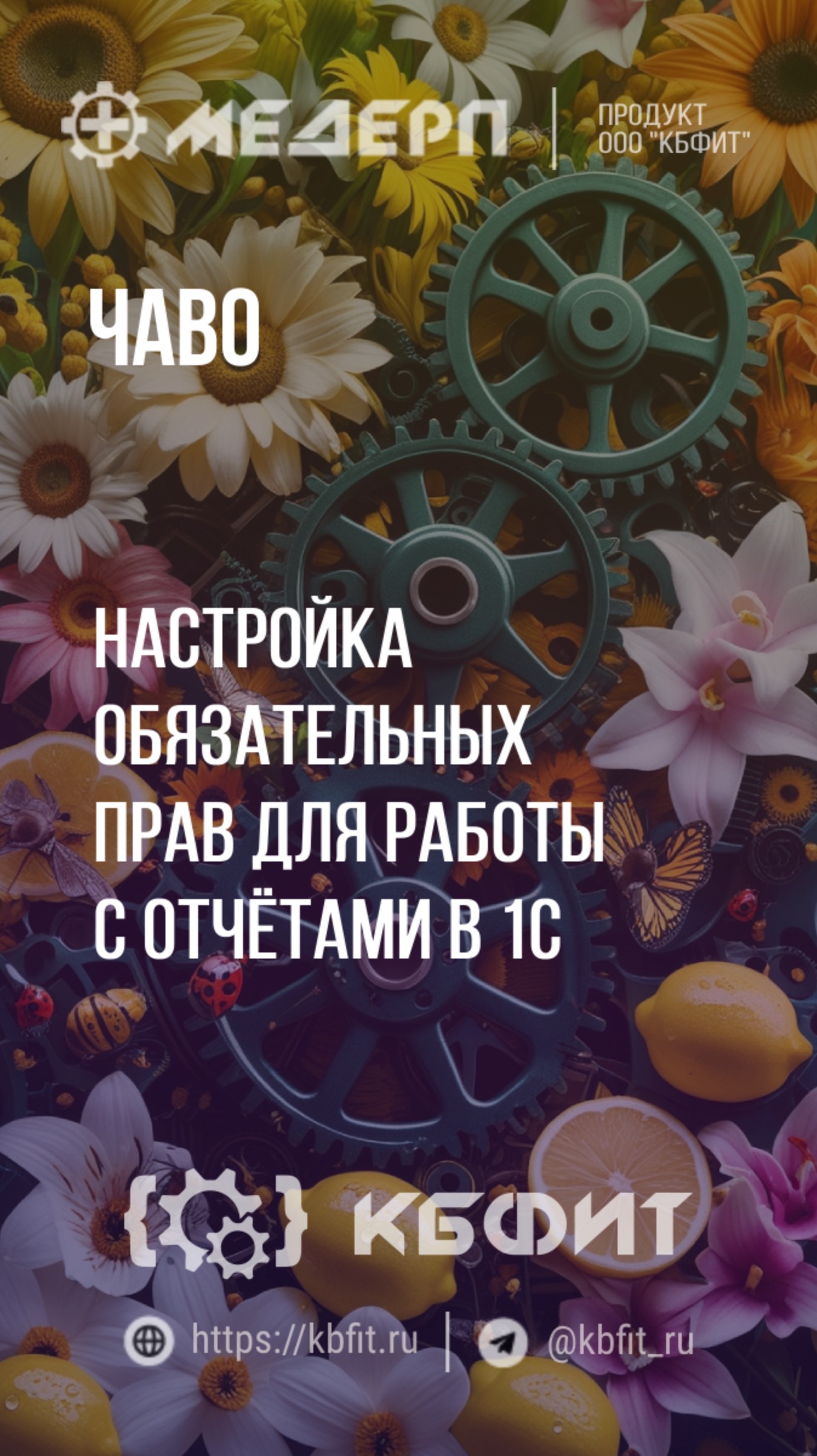 КБФИТ: МЕДЕРП. ЧАВО: Настройка обязательных прав для работы с отчётами в 1С