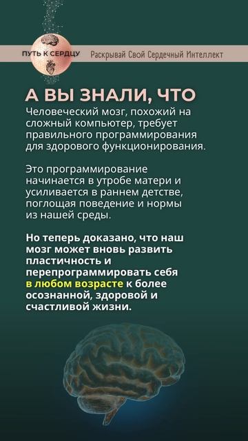 Наш мозг может быть обновлен, как компьютерная систем?