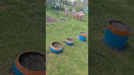 Миссия выполнена!