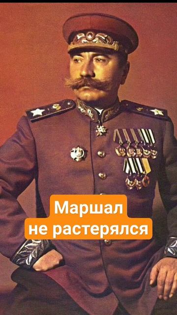 Маршал не растерялся.