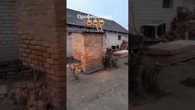 Похоже, это был опорный пень - именно он держал всю конструкцию.