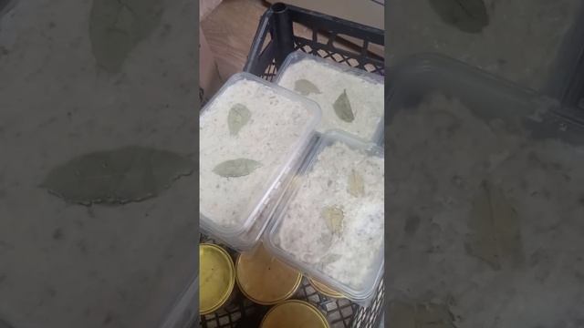 Готовимся к очередной отправке