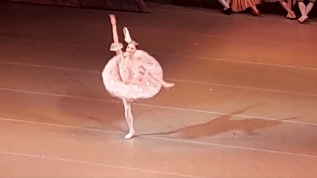 Балеты П. И. Чайковского. Игра 4 по типу "Угадай мелодию".