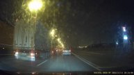 Газели держатся стаями