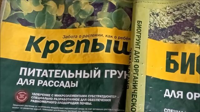Рассада томатов. Нужна ли подсветка?