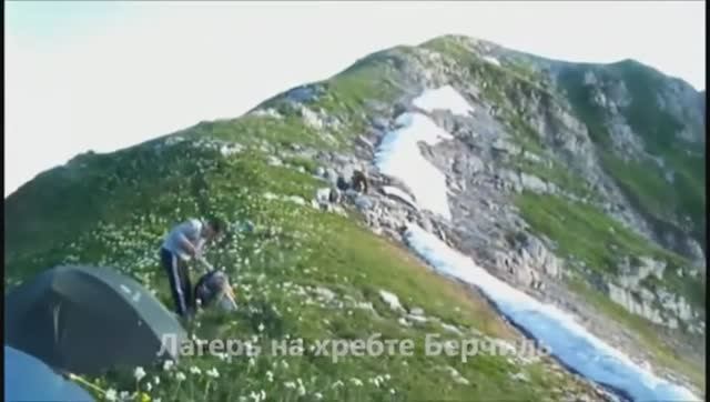 Арбаика 2012 xvid ксп2