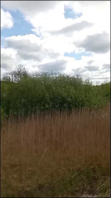 Красота природы, вид из окна электрички 08-05-2025